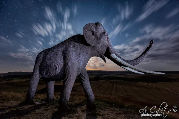 mamut