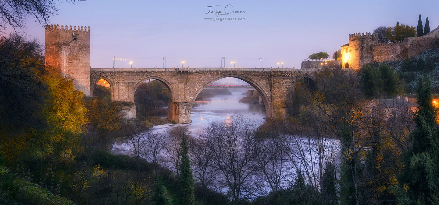 puente de san martn