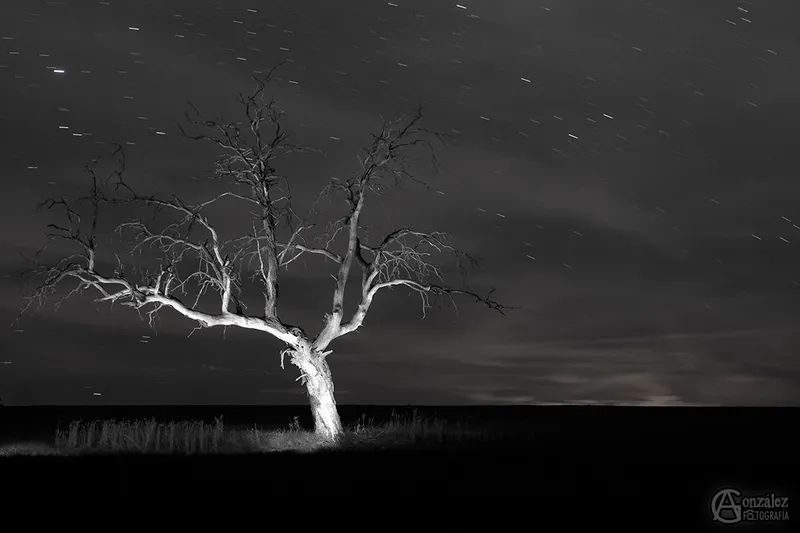 lightpainting2