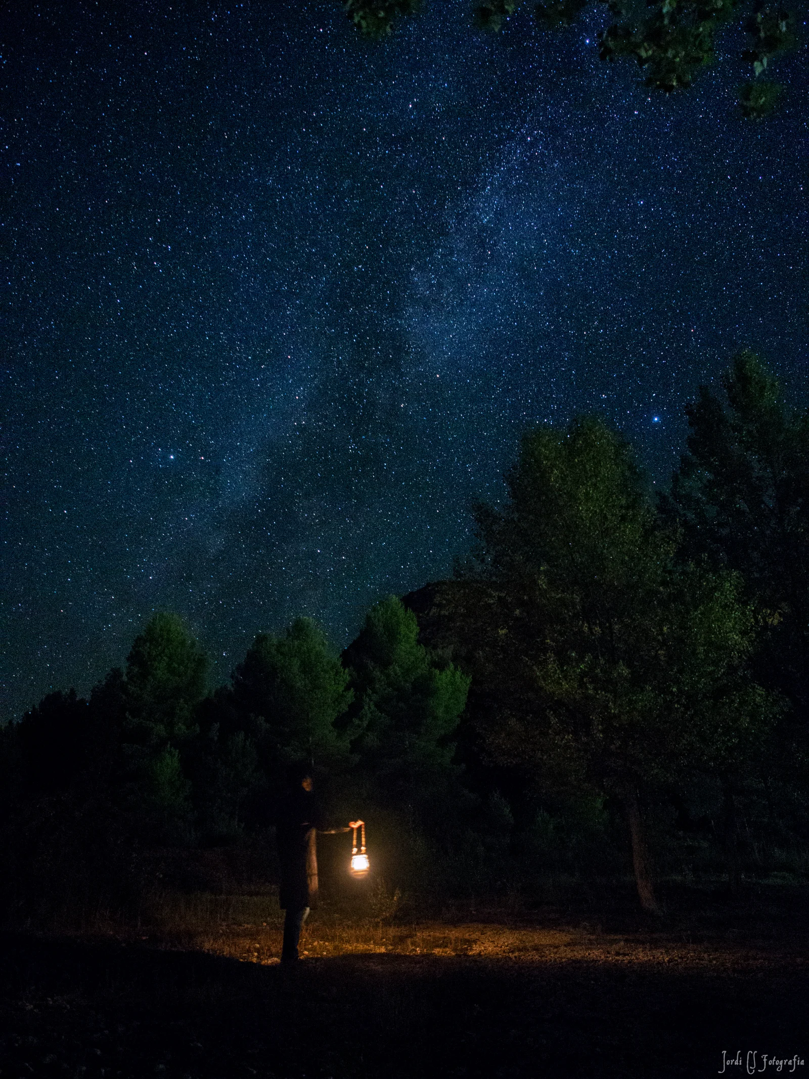 looking for the lost star
