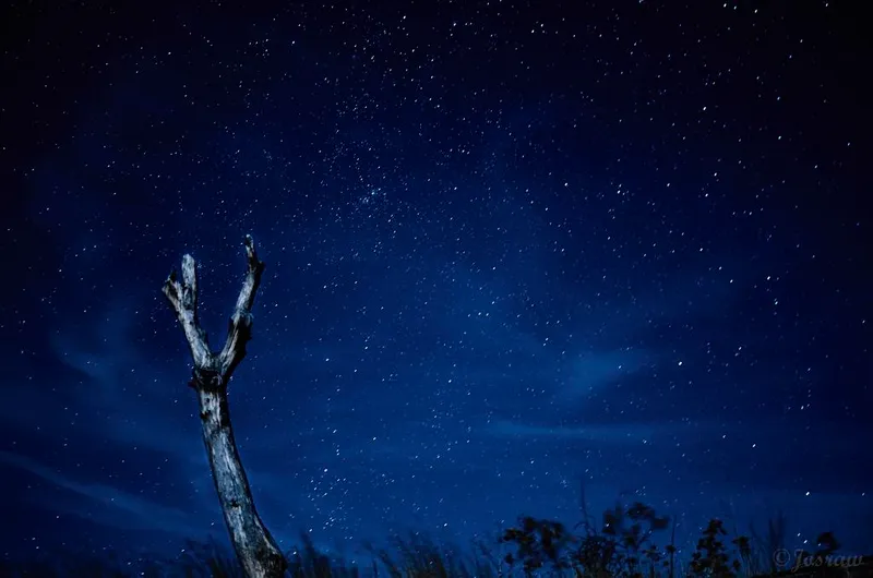 via lactea alcarrea