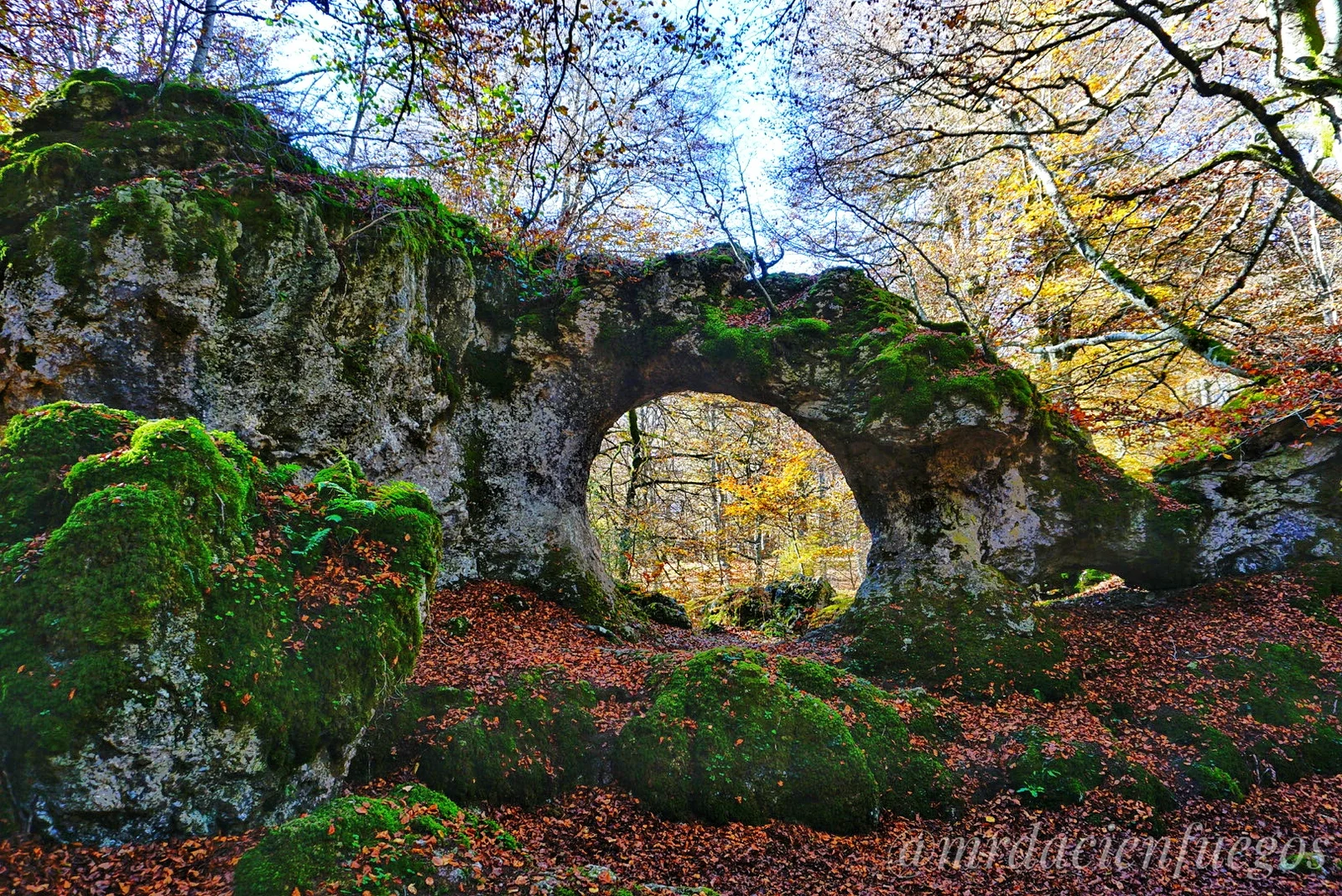 arco de zalamportillo