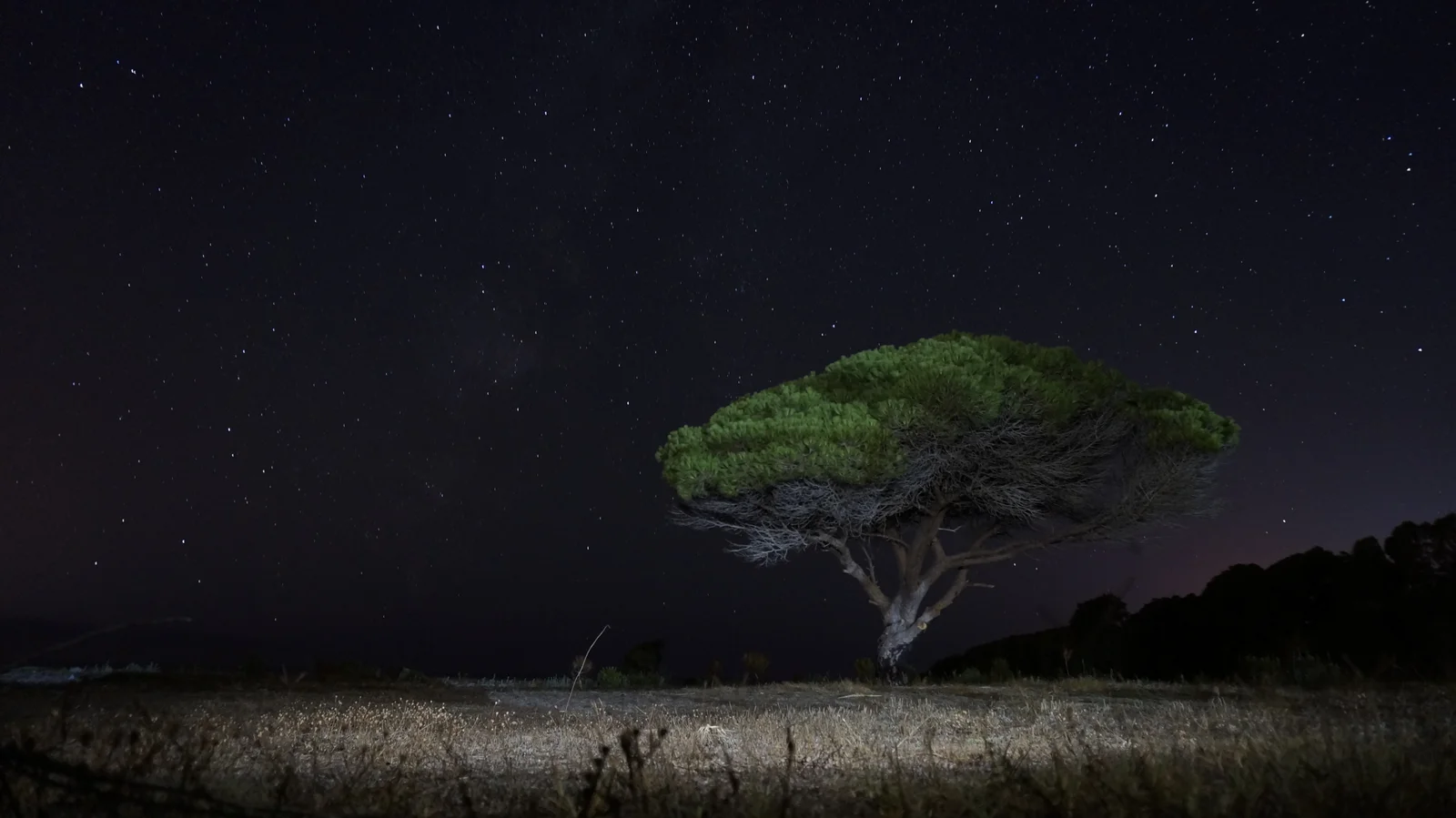 nocturna pino salida camping tarifa por cierto muy recomendable
