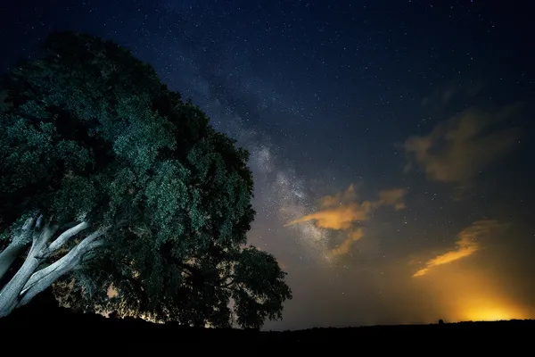 noche de verano