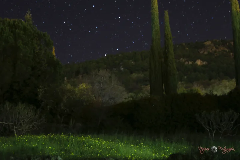 paisaje de pueblo