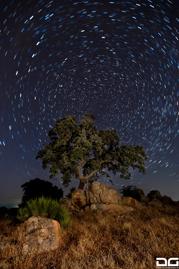 star tree, fotografía nocturna en Plasencia