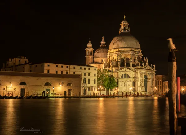 baslica de santa maria della salute