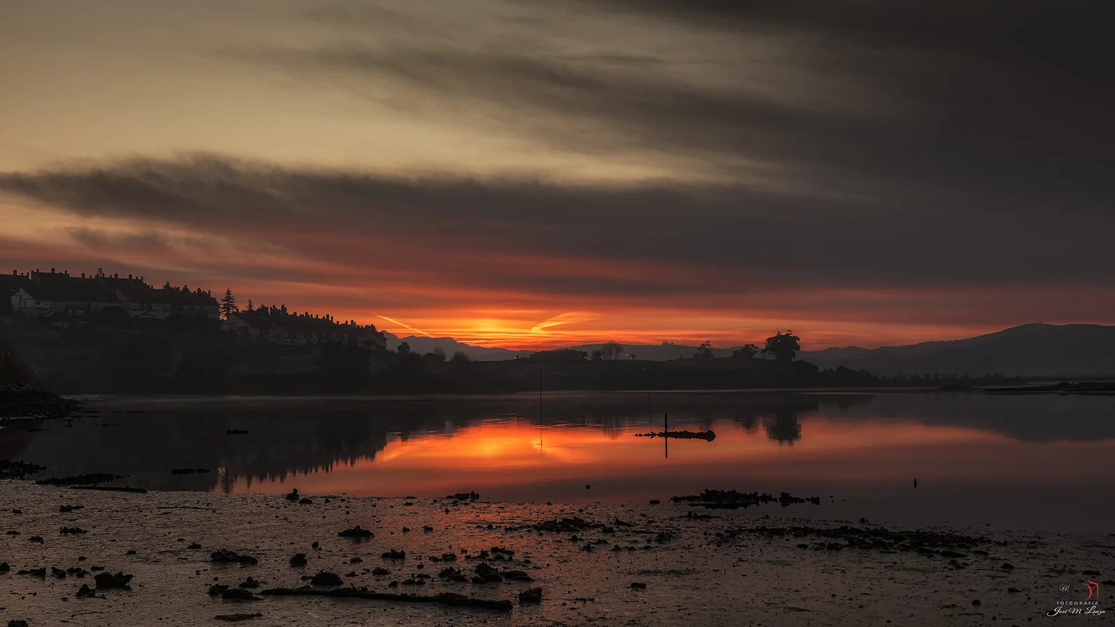 amanece en la marisma