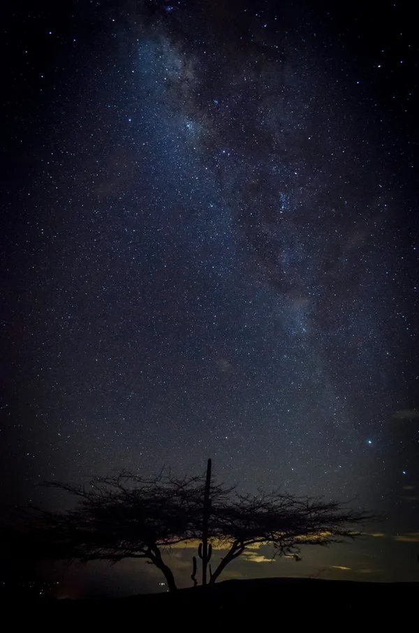 nacimos mirando al cielo