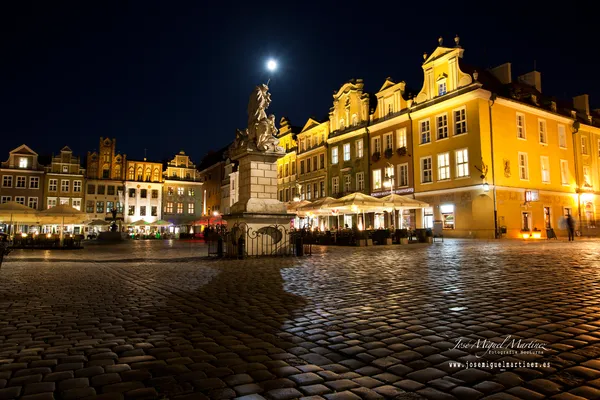 pozna