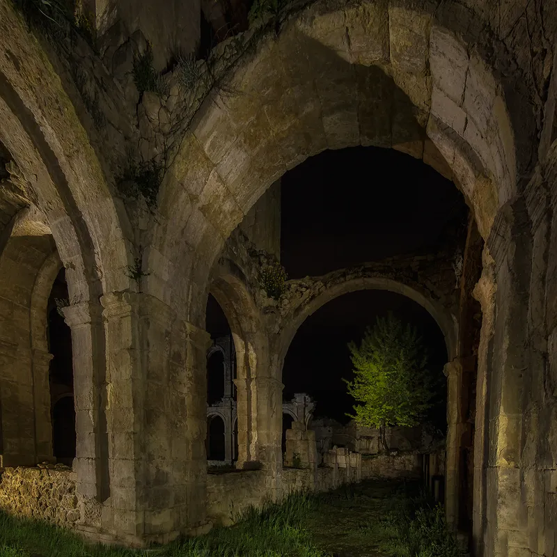 claustro
