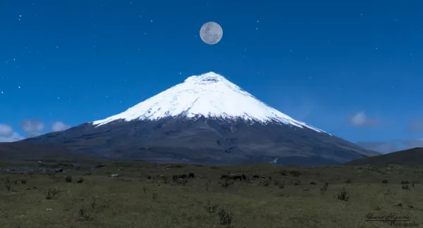 cotopaxi