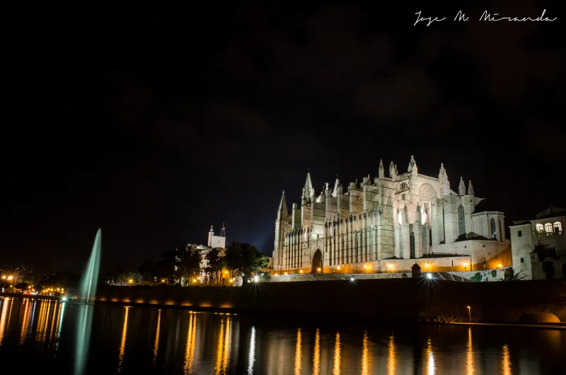 catedral de palma