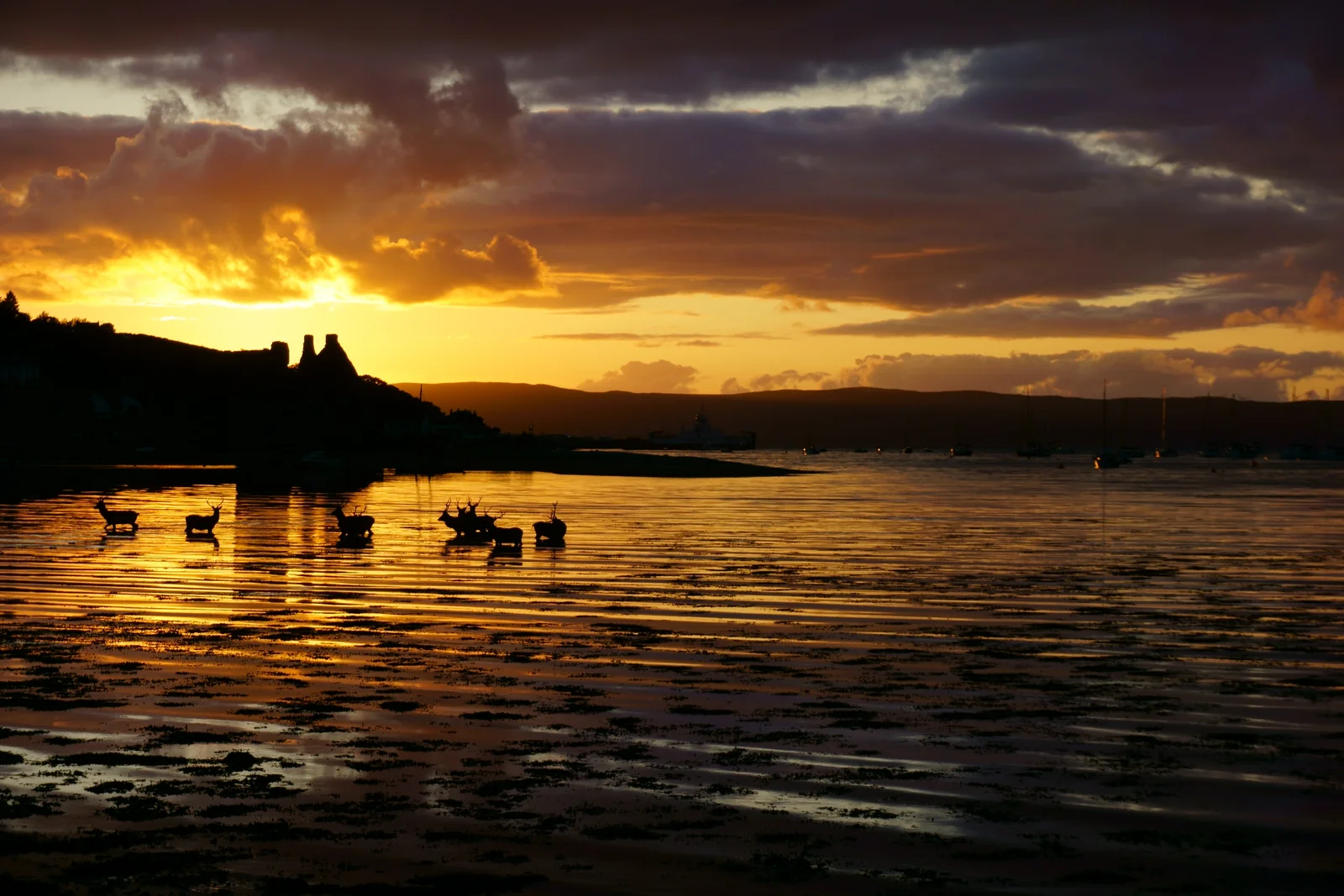lochranza castle