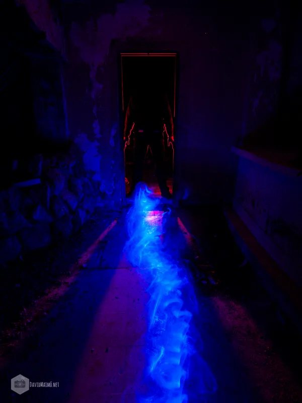 el portal