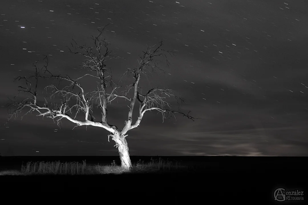 lightpainting2