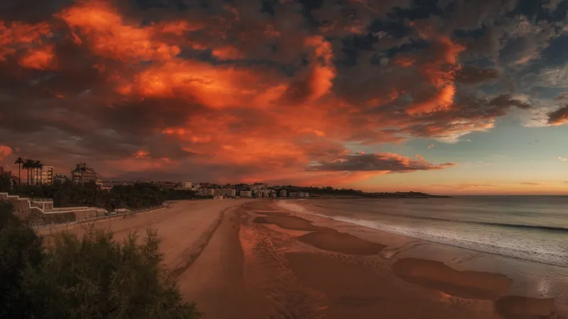 el sardinero 2