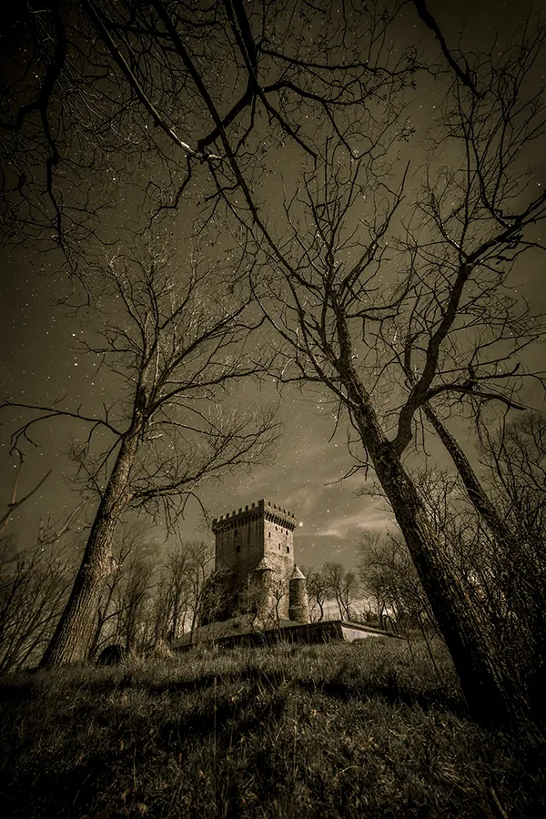 the castle