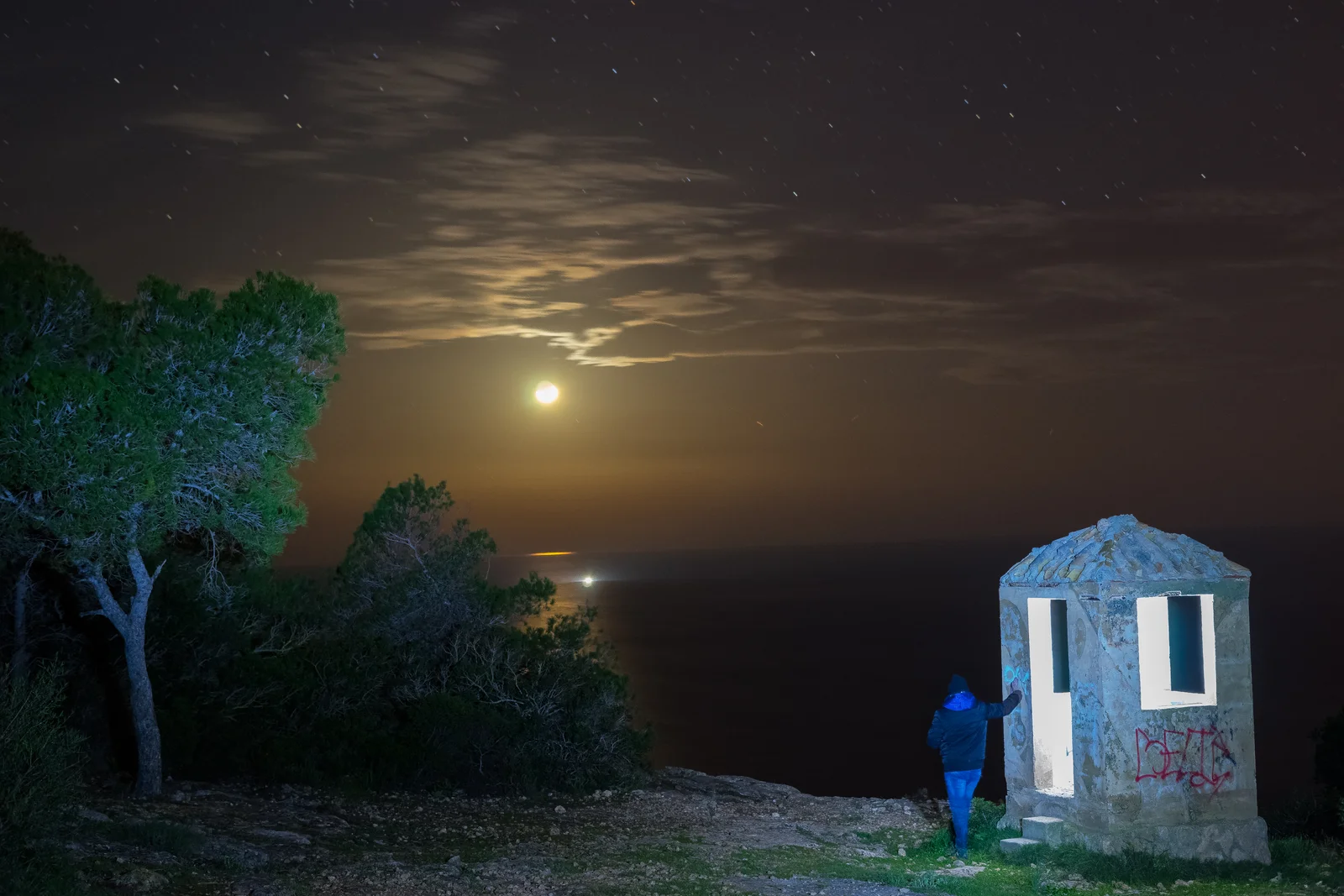 contemplando la luna