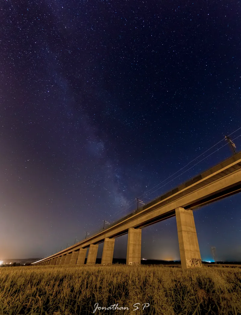 del ave a las estrellas
