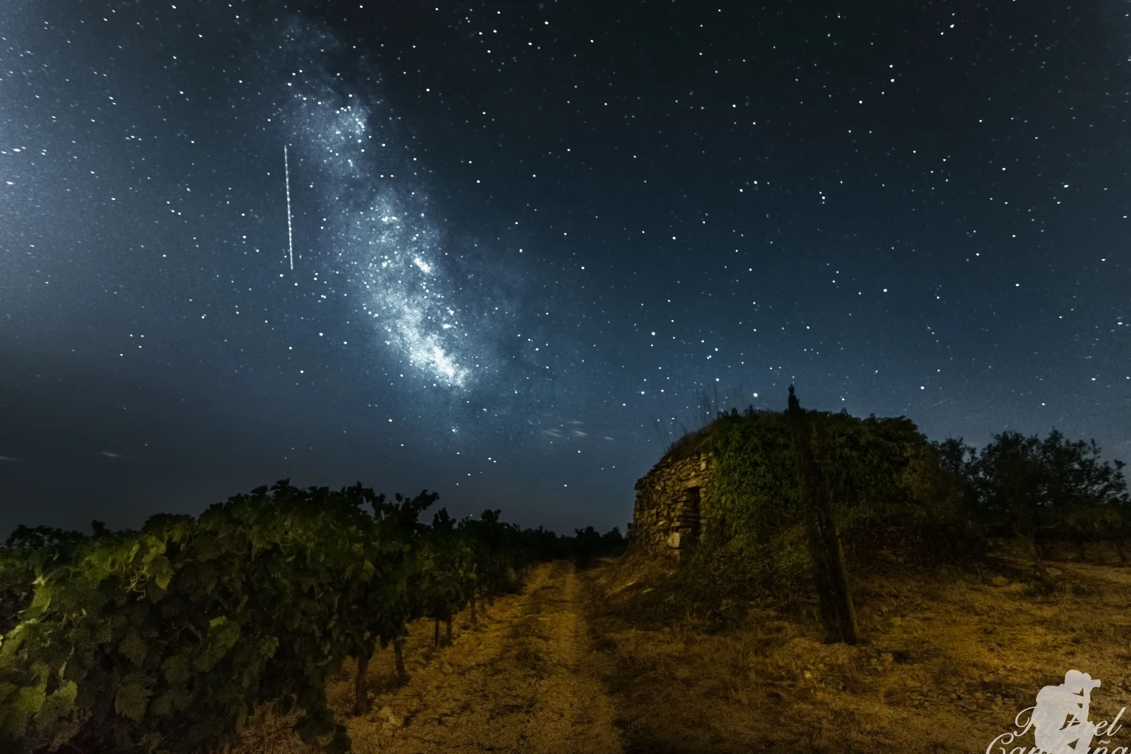 olvidada entre las vias