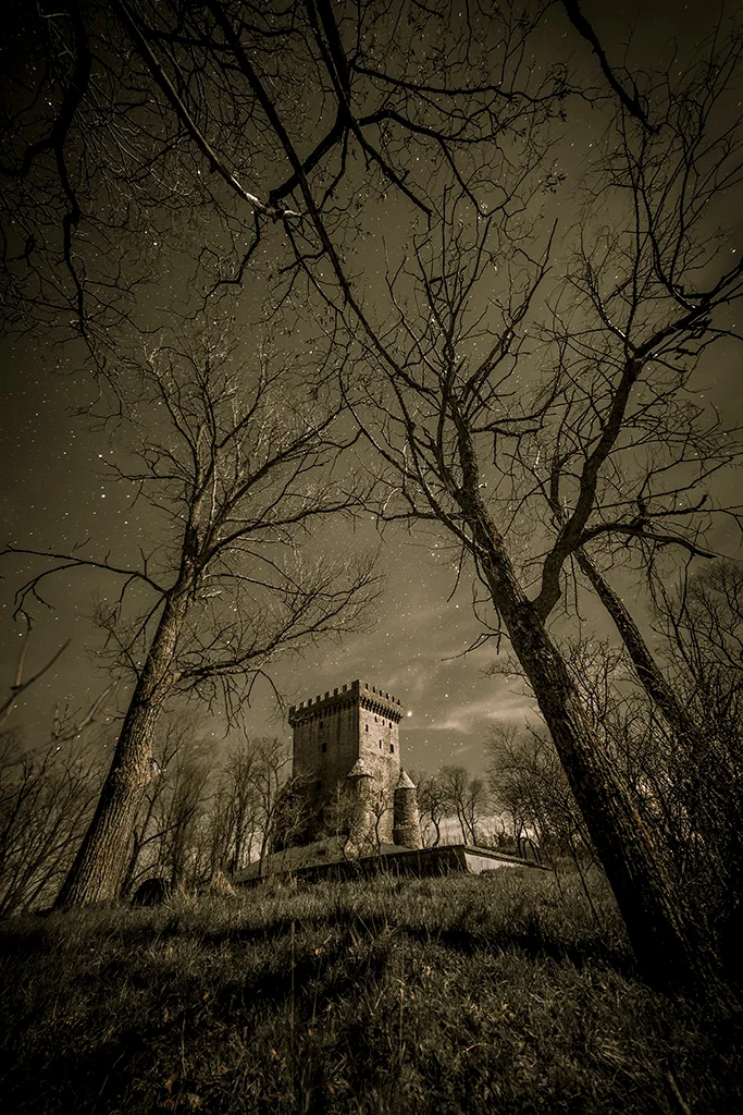 the castle