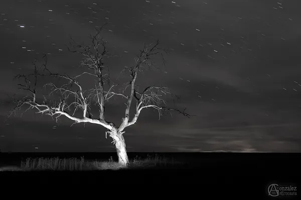 lightpainting2