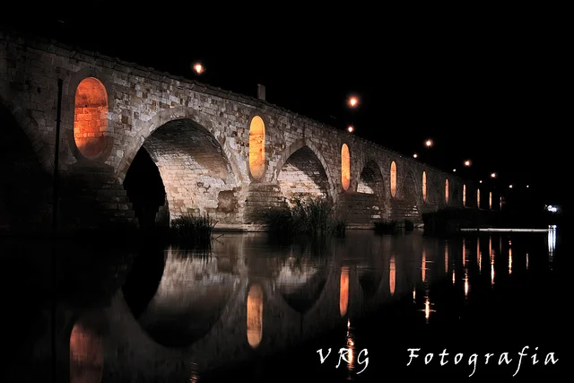 puente de piedra zamora