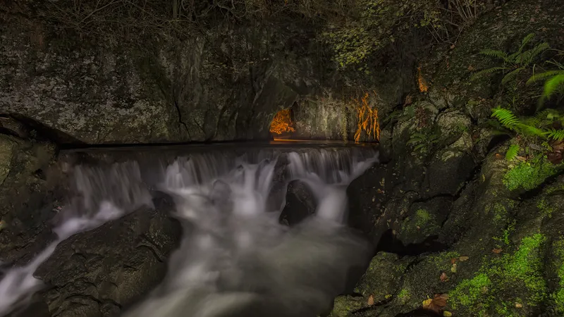 fuente del frances