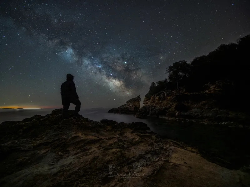 cala falc